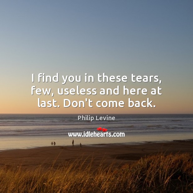 I find you in these tears, few, useless and here at last. Don’t come back. Philip Levine Picture Quote