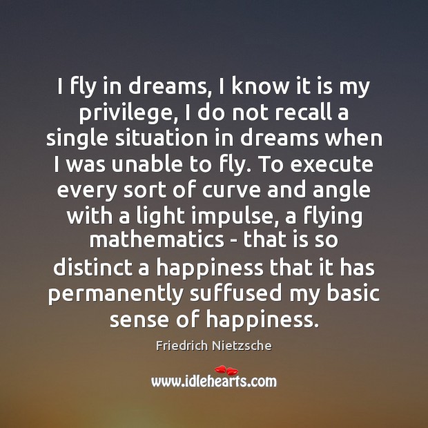 I fly in dreams, I know it is my privilege, I do Friedrich Nietzsche Picture Quote