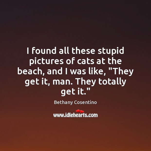 I found all these stupid pictures of cats at the beach, and Bethany Cosentino Picture Quote