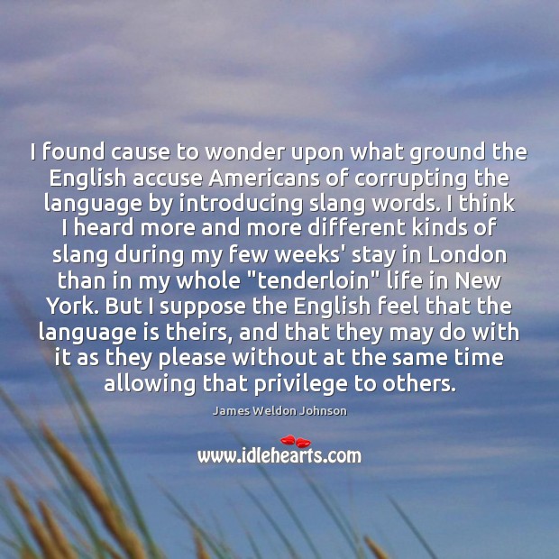 I found cause to wonder upon what ground the English accuse Americans James Weldon Johnson Picture Quote