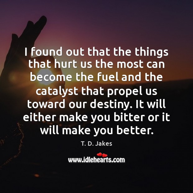 I found out that the things that hurt us the most can T. D. Jakes Picture Quote