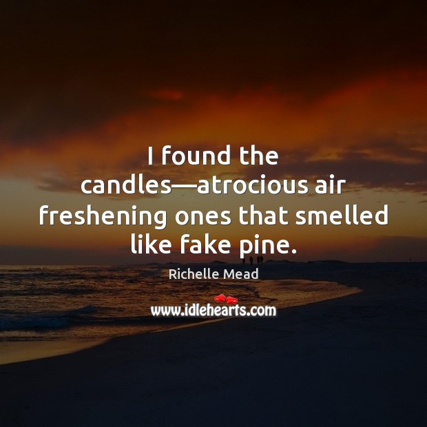 I found the candles—atrocious air freshening ones that smelled like fake pine. Image