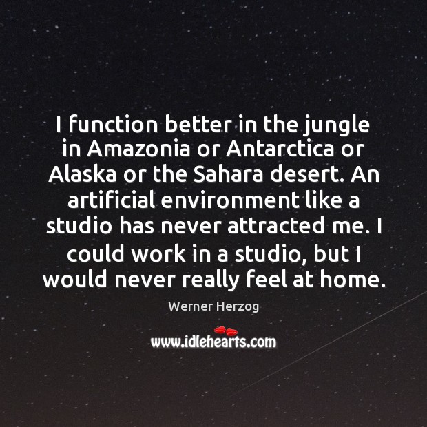 I function better in the jungle in Amazonia or Antarctica or Alaska Werner Herzog Picture Quote