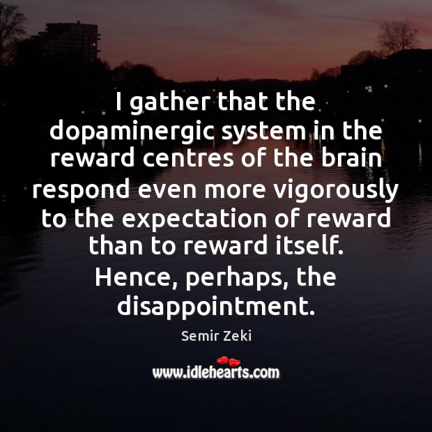 I gather that the dopaminergic system in the reward centres of the Semir Zeki Picture Quote