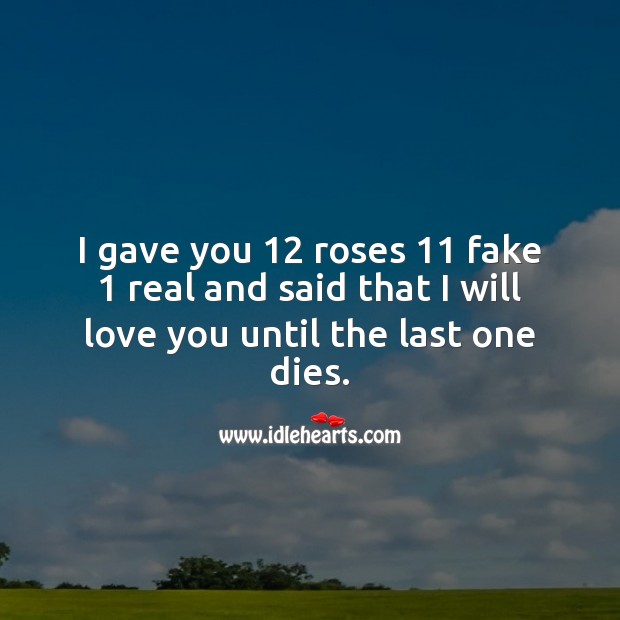 I gave you 12 roses 11 fake 1 real and said that I will love you until the last one dies. Romantic Messages Image