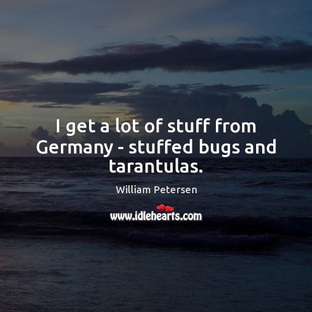 I get a lot of stuff from Germany – stuffed bugs and tarantulas. William Petersen Picture Quote
