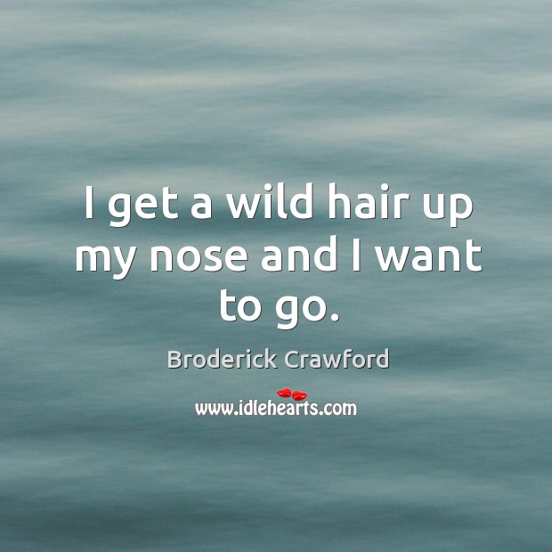I get a wild hair up my nose and I want to go. Broderick Crawford Picture Quote