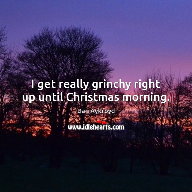 I get really grinchy right up until Christmas morning. Dan Aykroyd Picture Quote