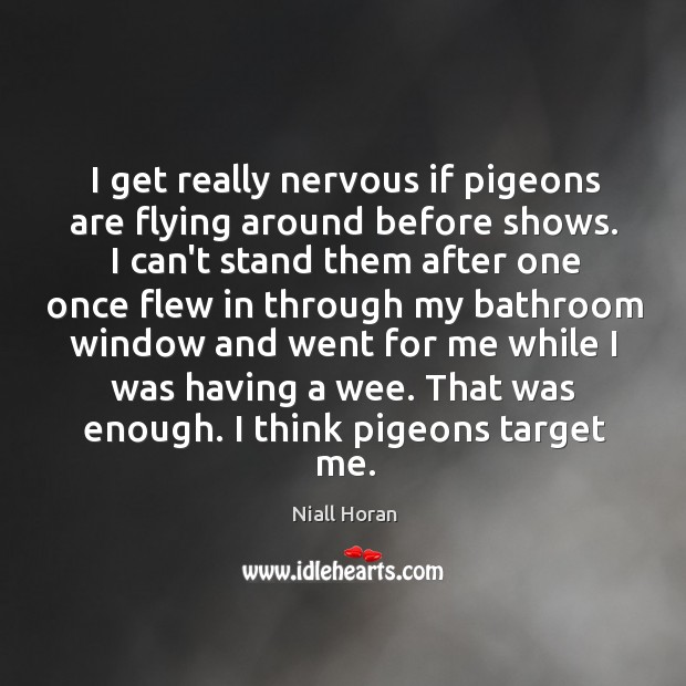 I get really nervous if pigeons are flying around before shows. I Niall Horan Picture Quote