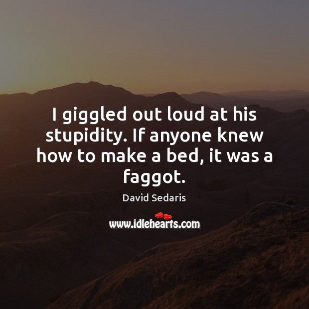 I giggled out loud at his stupidity. If anyone knew how to make a bed, it was a faggot. David Sedaris Picture Quote