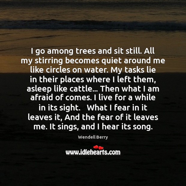 I go among trees and sit still. All my stirring becomes quiet Wendell Berry Picture Quote