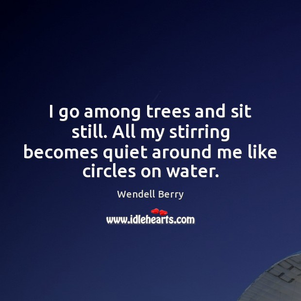 I go among trees and sit still. All my stirring becomes quiet Wendell Berry Picture Quote