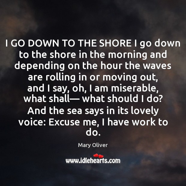 I GO DOWN TO THE SHORE I go down to the shore Mary Oliver Picture Quote