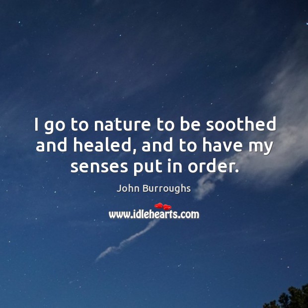 I go to nature to be soothed and healed, and to have my senses put in order. John Burroughs Picture Quote