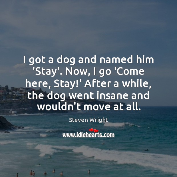 I got a dog and named him ‘Stay’. Now, I go ‘Come Steven Wright Picture Quote