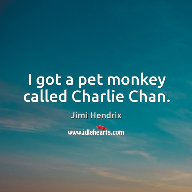 I got a pet monkey called charlie chan. Jimi Hendrix Picture Quote