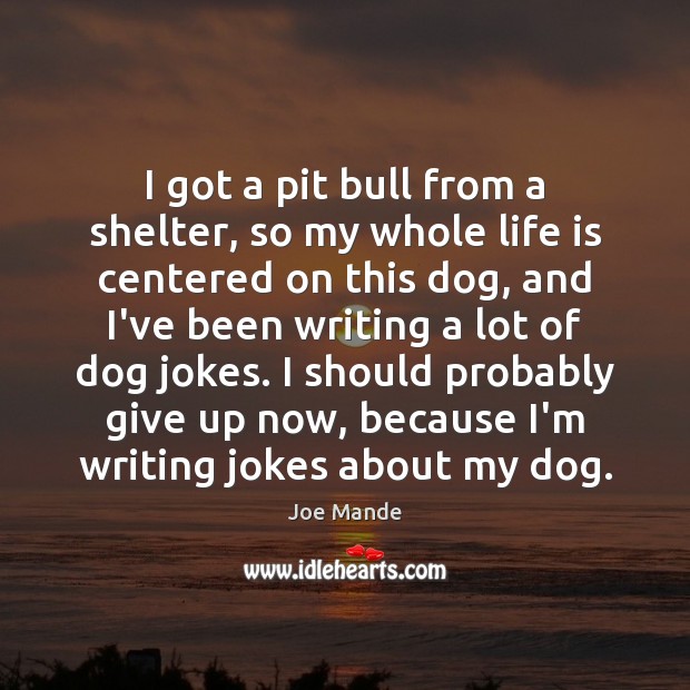 I got a pit bull from a shelter, so my whole life Joe Mande Picture Quote