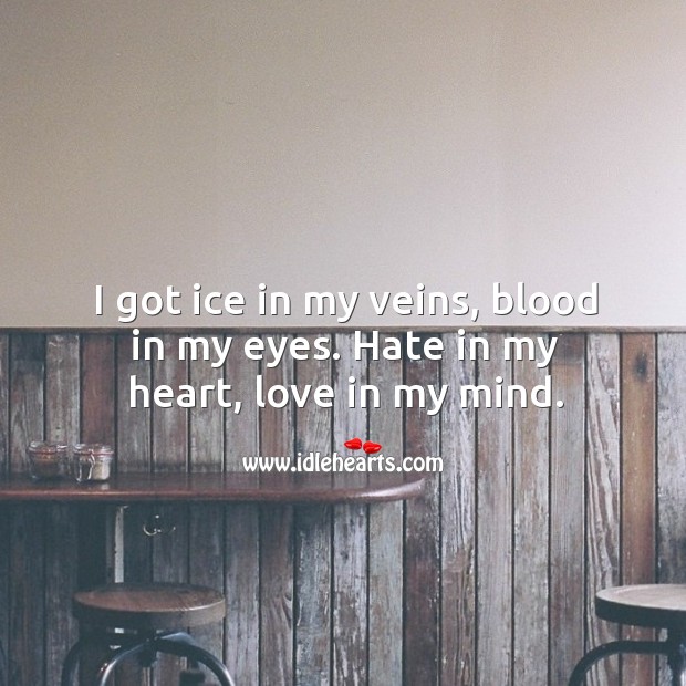 I got ice in my veins, blood in my eyes. Hate in my heart, love in my mind. Image