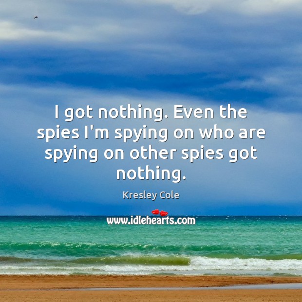 I got nothing. Even the spies I’m spying on who are spying on other spies got nothing. Kresley Cole Picture Quote