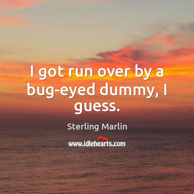 I got run over by a bug-eyed dummy, I guess. Sterling Marlin Picture Quote
