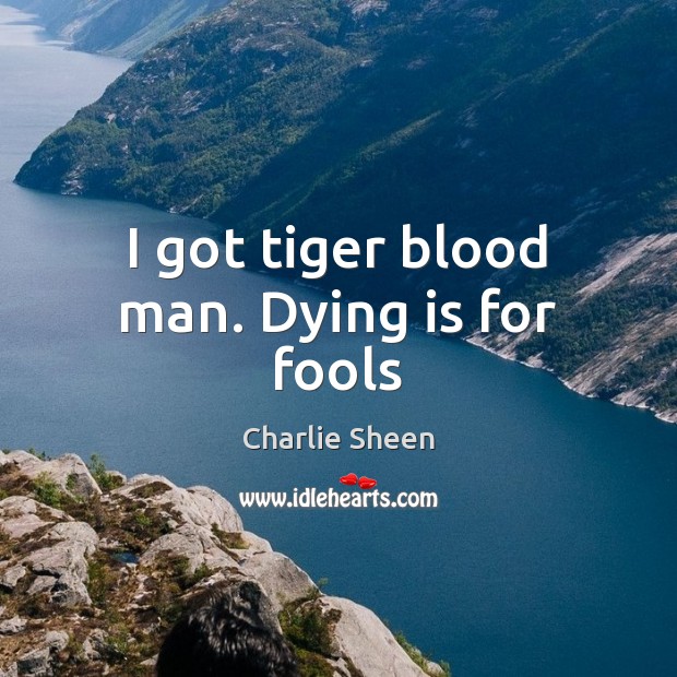 I got tiger blood man. Dying is for fools Charlie Sheen Picture Quote