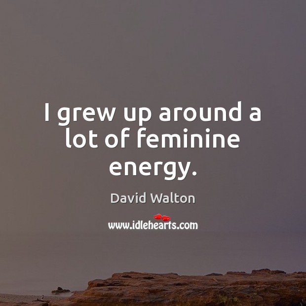 I grew up around a lot of feminine energy. David Walton Picture Quote