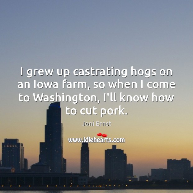 I grew up castrating hogs on an Iowa farm, so when I Joni Ernst Picture Quote