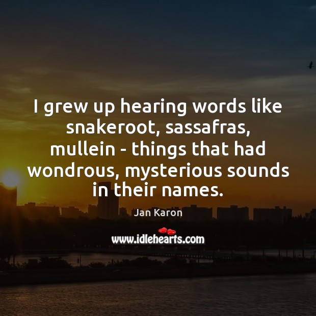 I grew up hearing words like snakeroot, sassafras, mullein – things that Jan Karon Picture Quote