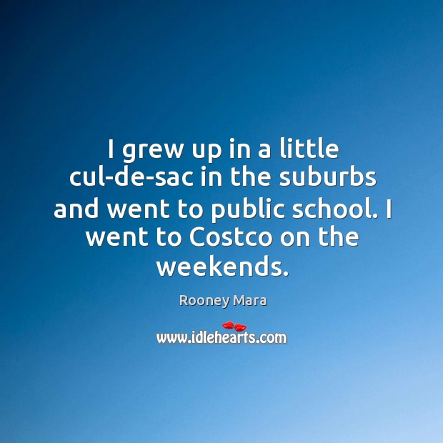 I grew up in a little cul-de-sac in the suburbs and went to public school. Rooney Mara Picture Quote