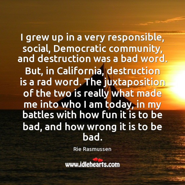 I grew up in a very responsible, social, Democratic community, and destruction Rie Rasmussen Picture Quote