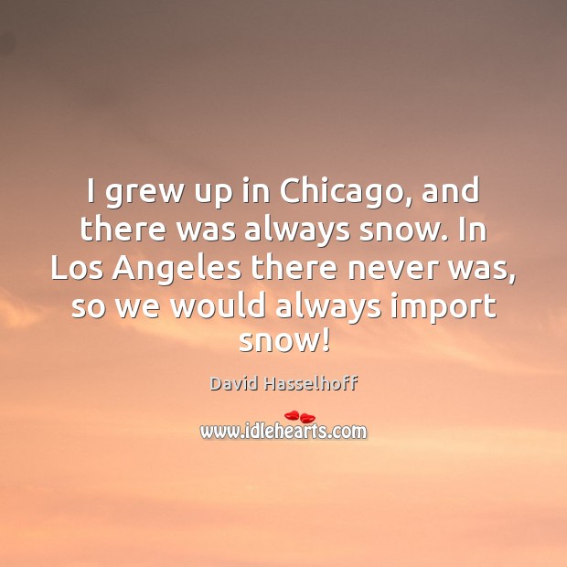 I grew up in Chicago, and there was always snow. In Los David Hasselhoff Picture Quote