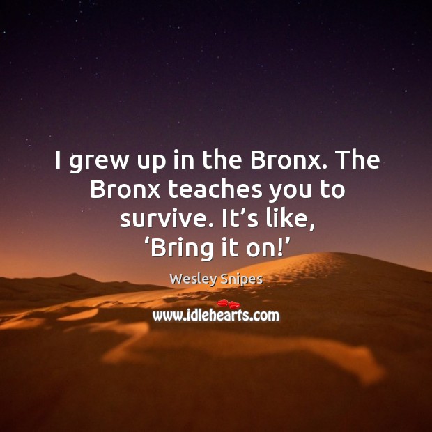 I grew up in the bronx. The bronx teaches you to survive. It’s like, ‘bring it on!’ Image