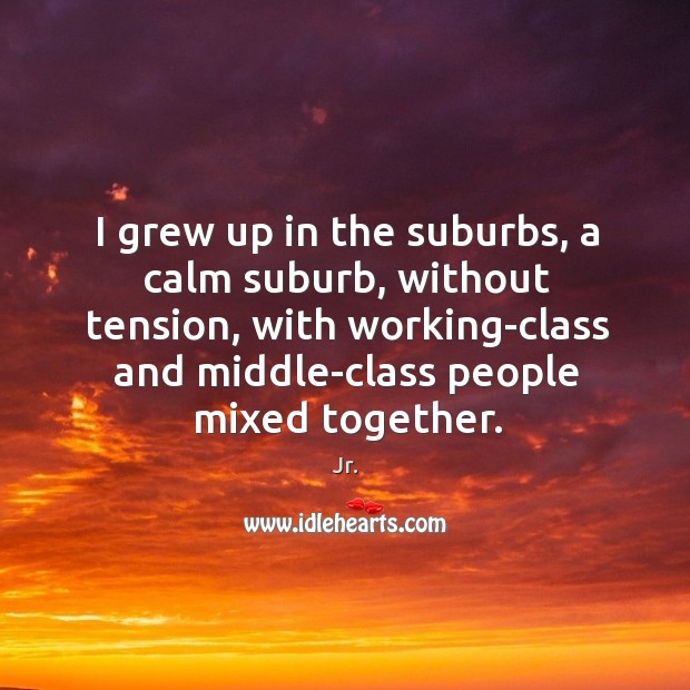 I grew up in the suburbs, a calm suburb, without tension, with Jr. Picture Quote