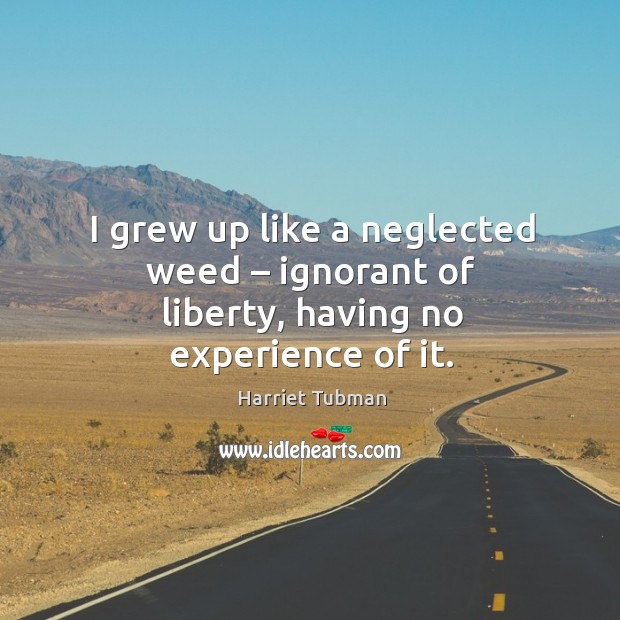 I grew up like a neglected weed – ignorant of liberty, having no experience of it. Harriet Tubman Picture Quote