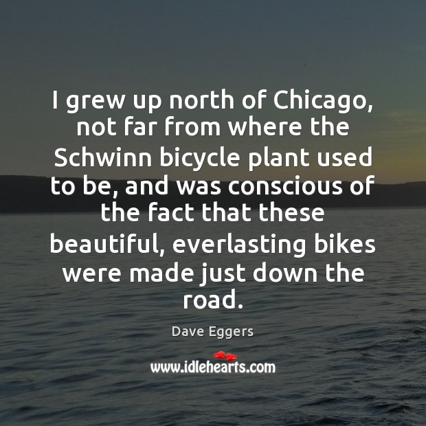 I grew up north of Chicago, not far from where the Schwinn Dave Eggers Picture Quote