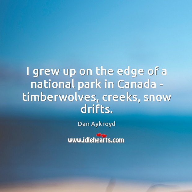 I grew up on the edge of a national park in Canada – timberwolves, creeks, snow drifts. Image