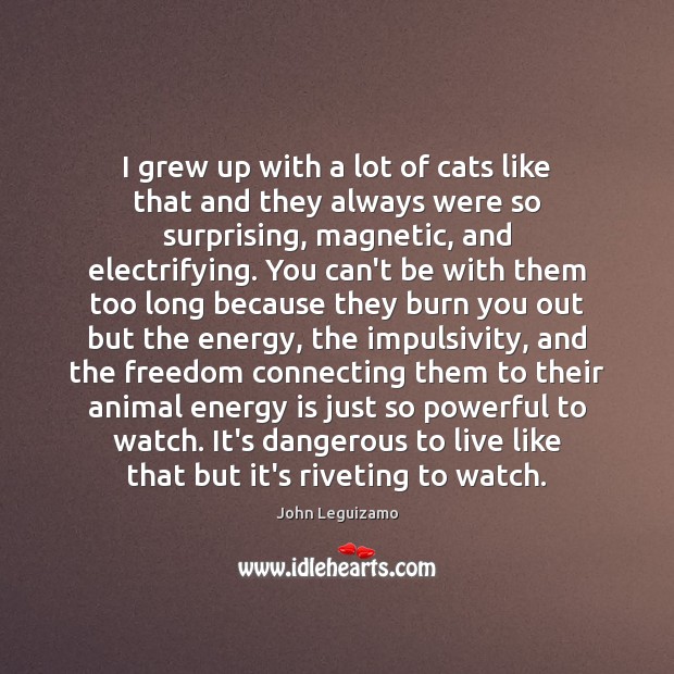 I grew up with a lot of cats like that and they John Leguizamo Picture Quote
