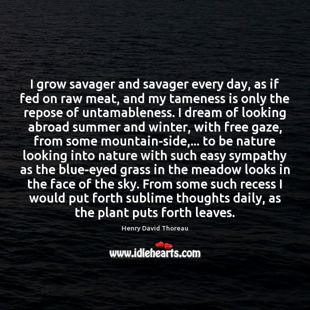 I grow savager and savager every day, as if fed on raw Henry David Thoreau Picture Quote