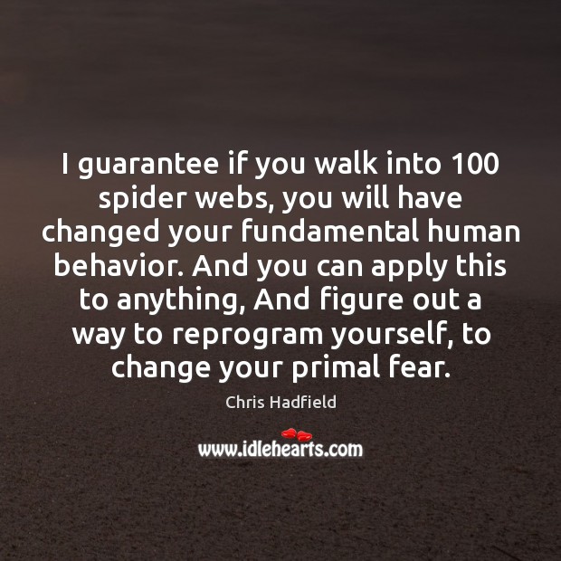 I guarantee if you walk into 100 spider webs, you will have changed Chris Hadfield Picture Quote
