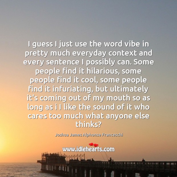 I guess I just use the word vibe in pretty much everyday Joshua James Alphonse Franceschi Picture Quote