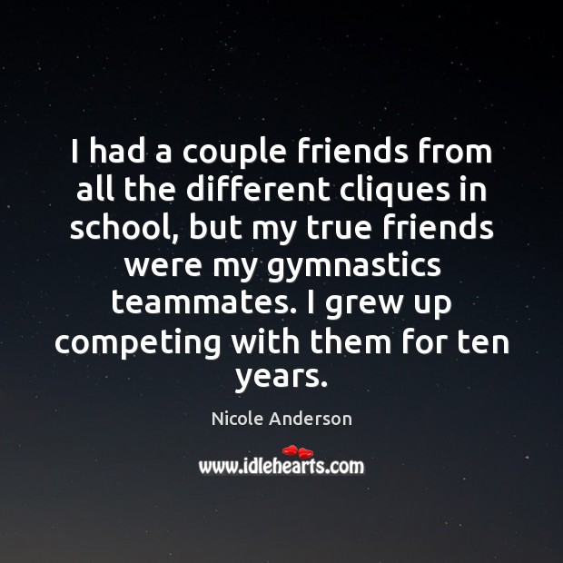 I had a couple friends from all the different cliques in school, Nicole Anderson Picture Quote