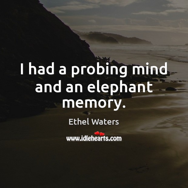 I had a probing mind and an elephant memory. Ethel Waters Picture Quote