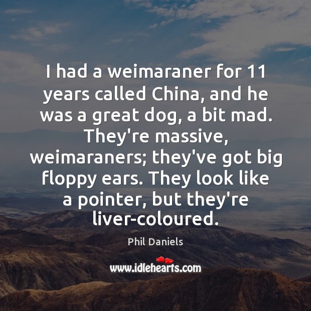 I had a weimaraner for 11 years called China, and he was a Phil Daniels Picture Quote