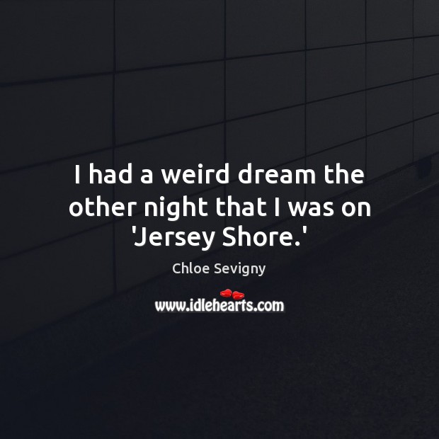 I had a weird dream the other night that I was on ‘Jersey Shore.’ Chloe Sevigny Picture Quote