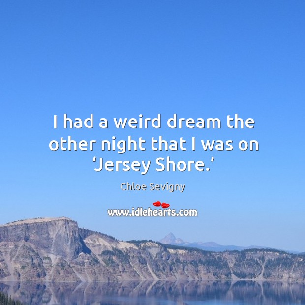 I had a weird dream the other night that I was on ‘jersey shore.’ Chloe Sevigny Picture Quote