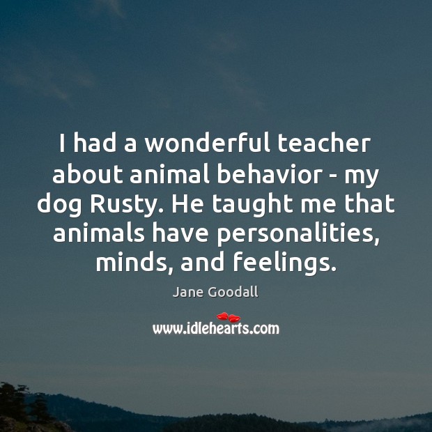 I had a wonderful teacher about animal behavior – my dog Rusty. Jane Goodall Picture Quote