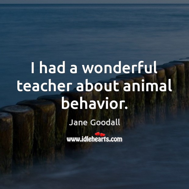 I had a wonderful teacher about animal behavior. Jane Goodall Picture Quote