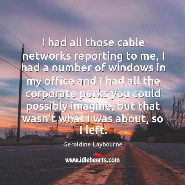 I had all those cable networks reporting to me, I had a Geraldine Laybourne Picture Quote
