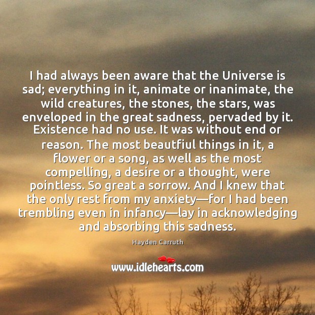 I had always been aware that the Universe is sad; everything in Hayden Carruth Picture Quote