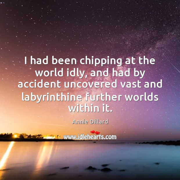 I had been chipping at the world idly, and had by accident Annie Dillard Picture Quote